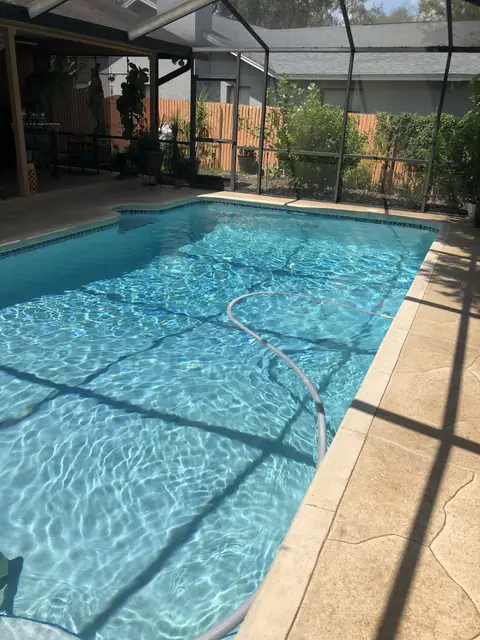 Long rectangular pool under a screen enclosure with clear water